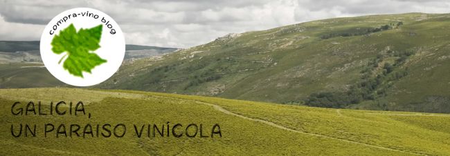 Galicia, un paraíso vinícola